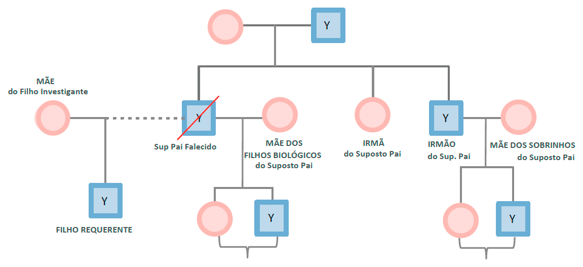 dna cromossomos
